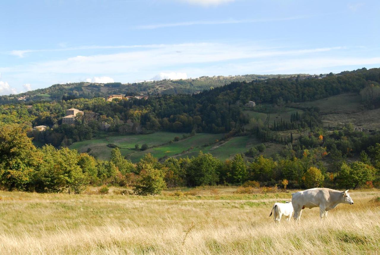 A Stay Surrounded By Greenery - Agriturismo La Piaggia - App 2 Bathrooms Vivo d'Orcia Luaran gambar